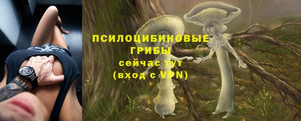 тгк Липки