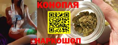 спиды Дубна
