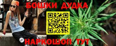 спиды Дубна