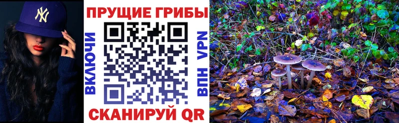 Галлюциногенные грибы ЛСД  Новоалтайск 